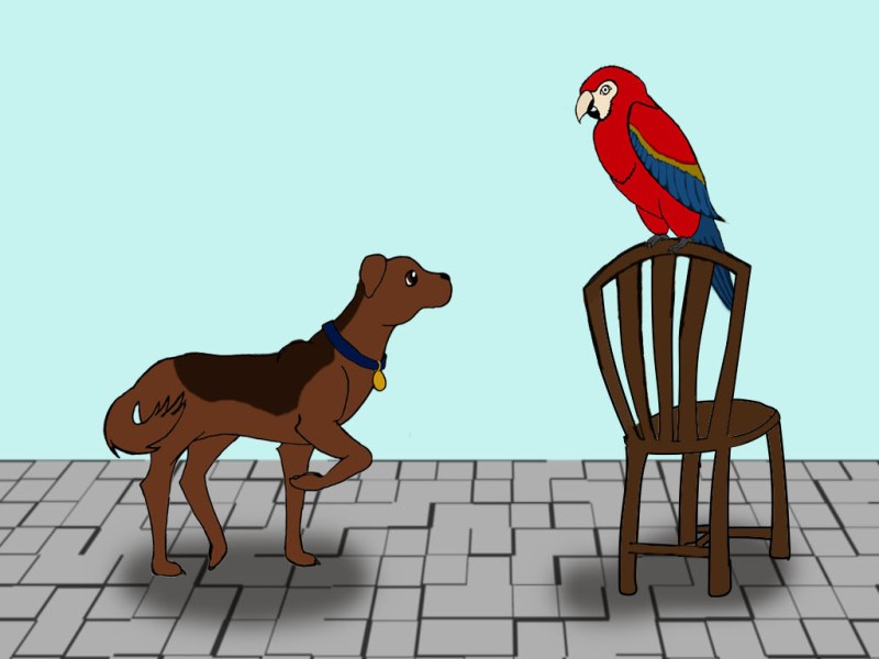 Osa and the Bald&nbsp;One